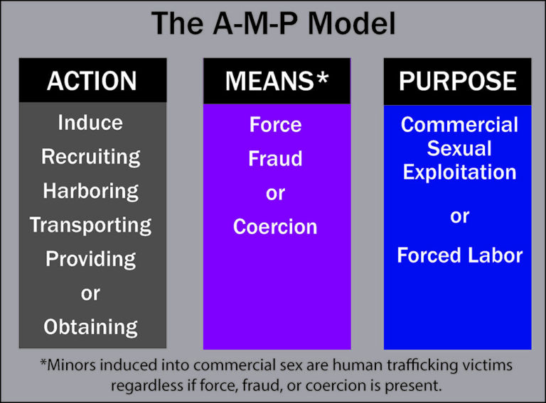 the A-M-P Action, Means, :Purpose Model